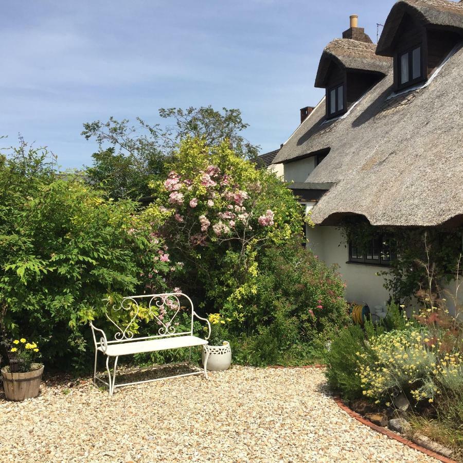 The Cottage Studio Wool Exterior photo